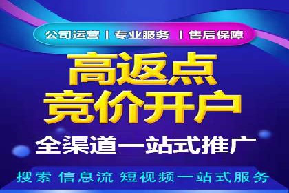 SEM推广公司成功案例：助力企业实现业绩持续增长